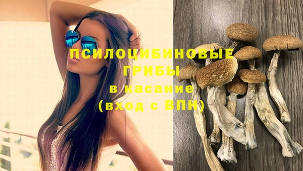 apvp Балабаново