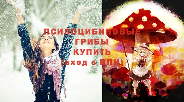 гидра Беломорск