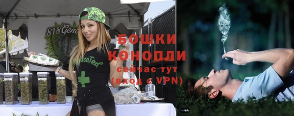 гидра Беломорск