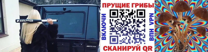 Псилоцибиновые грибы MAGIC MUSHROOMS  Новая Усмань 